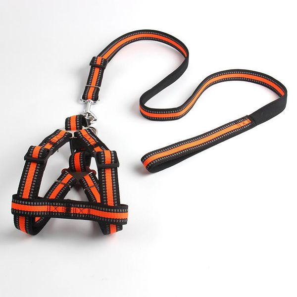 dog collars & leashes qualited leash running harness pet large accessories straps supplies puppy chest back traction belt
dog collars & leashes qualited leash running harness pet large accessories straps supplies puppy chest back traction belt