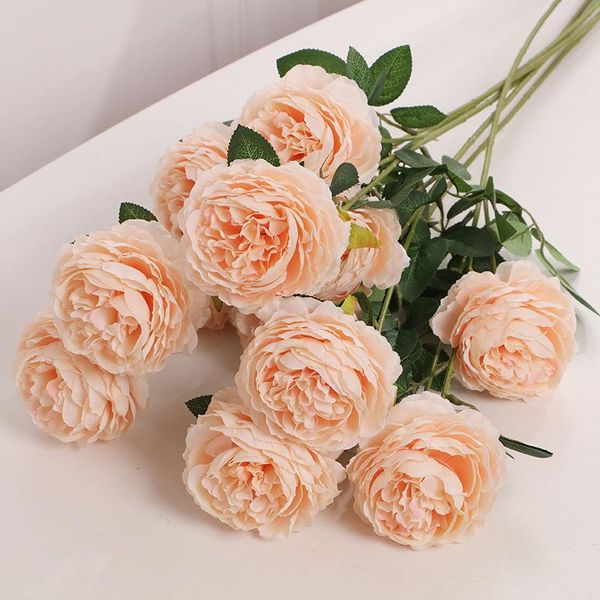 decorative flowers & wreaths 3 heads bride holding flower 65 cm rose pink silk peony artificial family wedding interior decoration fake
decorative flowers & wreaths 3 heads bride holding flower 65 cm rose pink silk peony artificial family wedding interior decoration fake