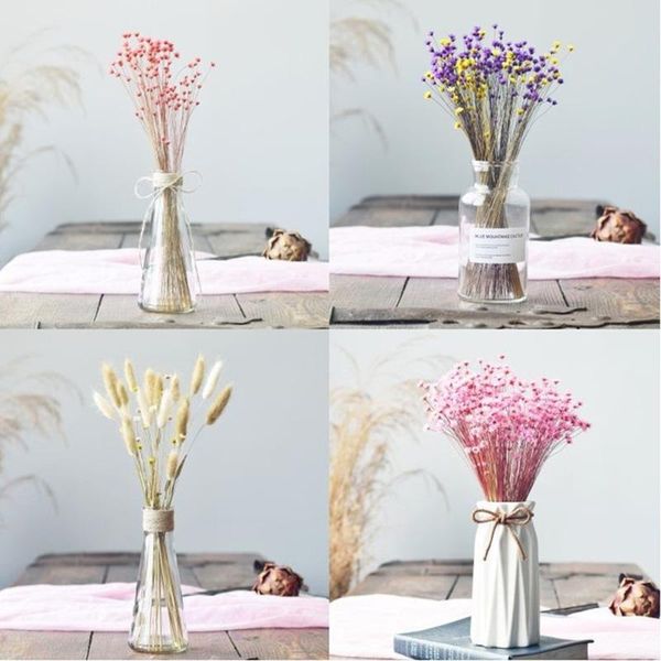 decorative flowers & wreaths drop 30pcs dried flower brazilian little star gypsophila chrysanthemum art decor diy
decorative flowers & wreaths drop 30pcs dried flower brazilian little star gypsophila chrysanthemum art decor diy
