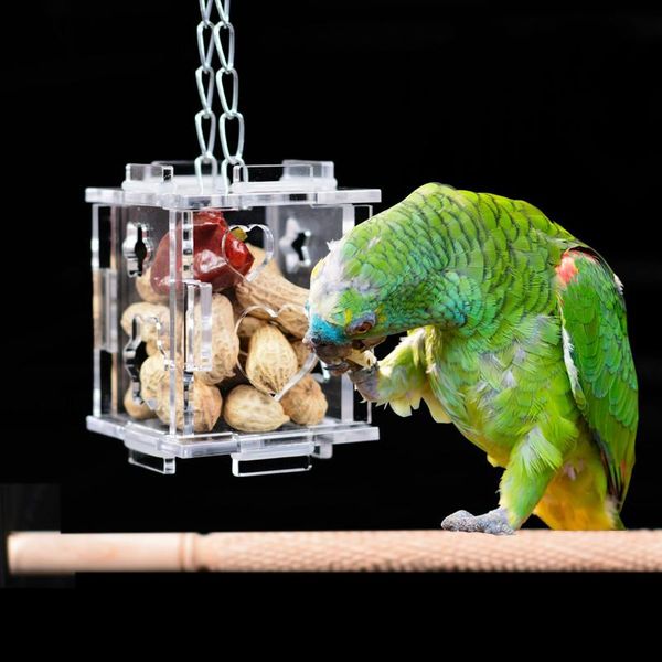 bird cages unique parrot cage feeder hang foraging toys pet treat hunt macaw cockatoo budgie 
bird cages unique parrot cage feeder hang foraging toys pet treat hunt macaw cockatoo budgie