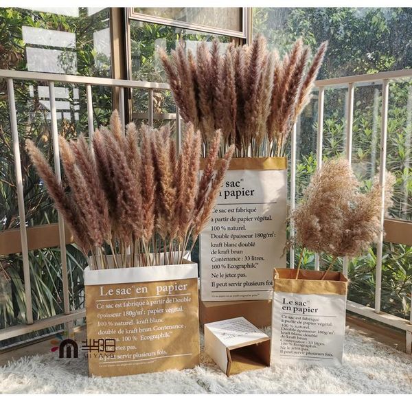 decorative flowers & wreaths 5/10pcs dried reed flower arrangement,natural pampas grass&phragmites communis plants bouquet for modern home d
decorative flowers & wreaths 5/10pcs dried reed flower arrangement,natural pampas grass&phragmites communis plants bouquet for modern home d