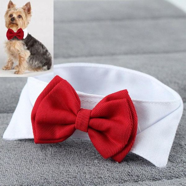 cat collars & leads fashion adjustable bow tie cute collar necktie bowknot for pet dog wedding decor
cat collars & leads fashion adjustable bow tie cute collar necktie bowknot for pet dog wedding decor
