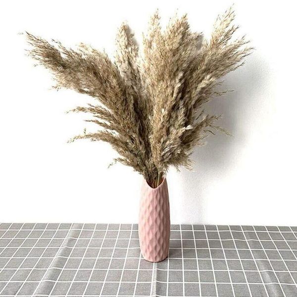 decorative flowers & wreaths 50cm 30/50pcs natural dried phragmites&reed decor brown bouquet boho pampas decoration home bedroom living room
decorative flowers & wreaths 50cm 30/50pcs natural dried phragmites&reed decor brown bouquet boho pampas decoration home bedroom living room