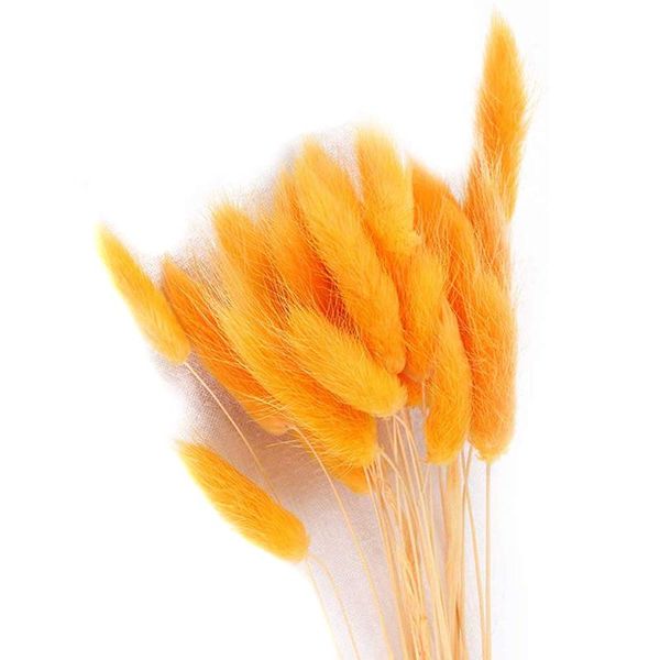 decorative flowers & wreaths dried flower bouquet artificial lagurus ovatus decoration for home el wedding scvd889
decorative flowers & wreaths dried flower bouquet artificial lagurus ovatus decoration for home el wedding scvd889