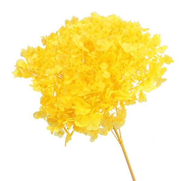 decorative flowers & wreaths no withering practical rustic drying hydrangea preserved flower widely applied dried branch vital for home
decorative flowers & wreaths no withering practical rustic drying hydrangea preserved flower widely applied dried branch vital for home