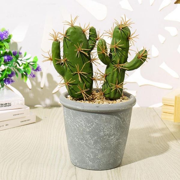 decorative flowers & wreaths fake potted cactus attractive no fade plant melamine simulation simple garden decoration
decorative flowers & wreaths fake potted cactus attractive no fade plant melamine simulation simple garden decoration