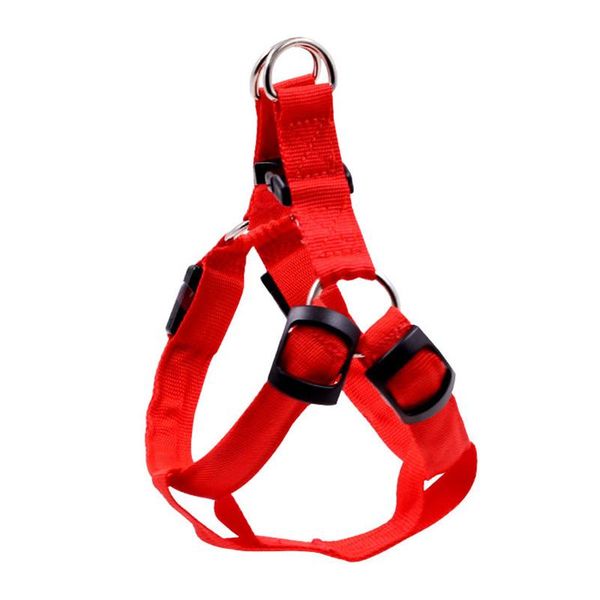 dog collars & leashes pet led light leash harness chest straps luminous adjustable safety nylon strap
dog collars & leashes pet led light leash harness chest straps luminous adjustable safety nylon strap