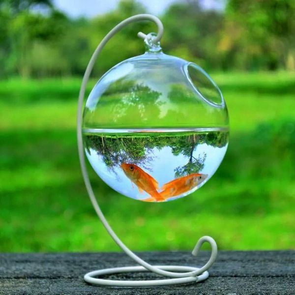 vases round hanging glass aquarium fish tank flower plant vase with shelf home decoration
vases round hanging glass aquarium fish tank flower plant vase with shelf home decoration