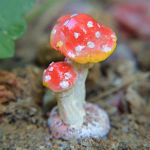 durable miniature home gift fairy decoration dollhouse portable mushroom accessories synthetic resin garden figurine decorative objects & fi
durable miniature home gift fairy decoration dollhouse portable mushroom accessories synthetic resin garden figurine decorative objects & fi