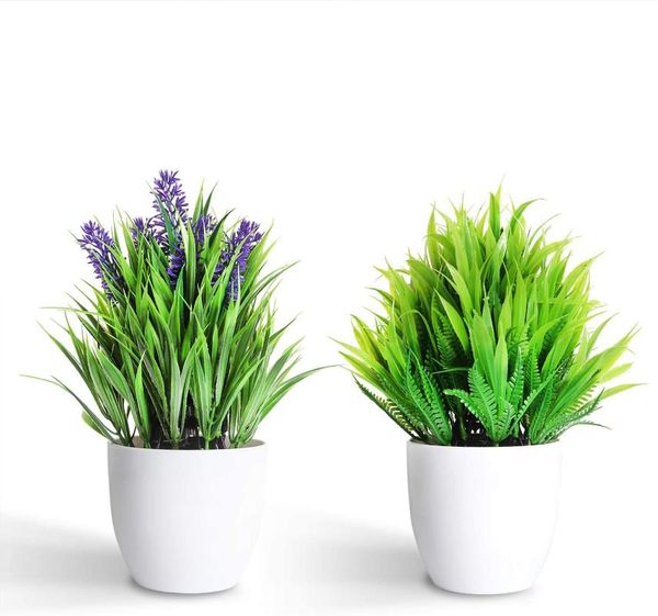 decorative flowers & wreaths 2-piece set of artificial plants, plastic mini plants unique and pot decoration home decor
decorative flowers & wreaths 2-piece set of artificial plants, plastic mini plants unique and pot decoration home decor