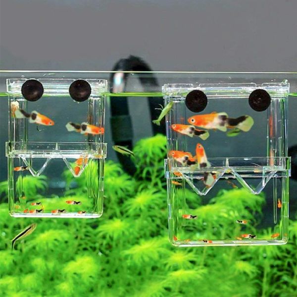 aquariums fighting fish tank breeding floating isolation hatchery aquarium breed box with 3pcs pasteur pipette for
aquariums fighting fish tank breeding floating isolation hatchery aquarium breed box with 3pcs pasteur pipette for
