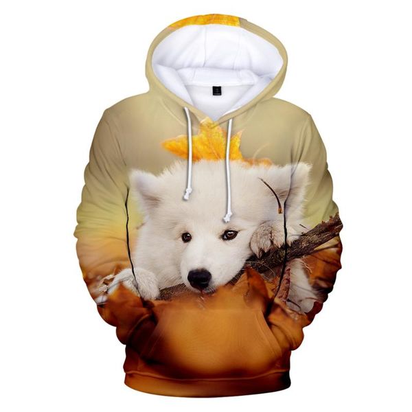 kawaii smiling angel samoyed hoodies 3d print sweatshirts cute pullover women men casual hooded women's &, Black
kawaii smiling angel samoyed hoodies 3d print sweatshirts cute pullover women men casual hooded women's &, Black