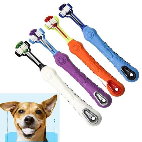 dog apparel pets toothbrush for teeth cleaning three head dogs with non-slip handle perfect care products mouth
dog apparel pets toothbrush for teeth cleaning three head dogs with non-slip handle perfect care products mouth