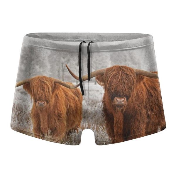 men's shorts cow mens swimsuit swim trunksswimwear swimming surf beach, White;black
men's shorts cow mens swimsuit swim trunksswimwear swimming surf beach, White;black