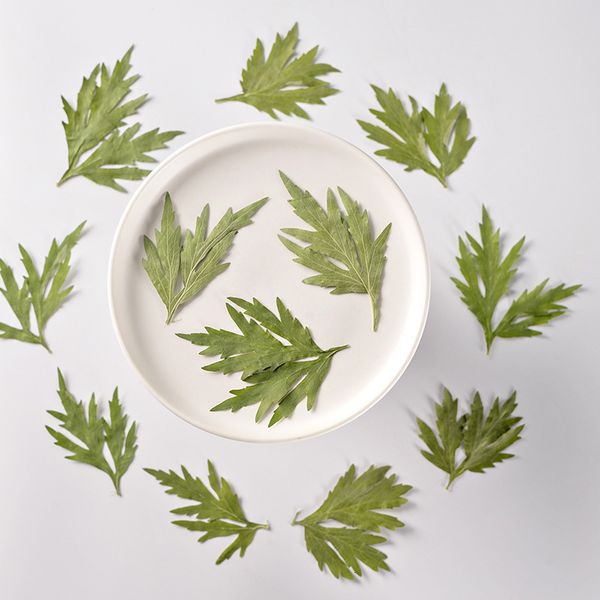 motherwort embossed flower dried plant specimen tree leaf manual decal diy bookmark material festival gift design
motherwort embossed flower dried plant specimen tree leaf manual decal diy bookmark material festival gift design