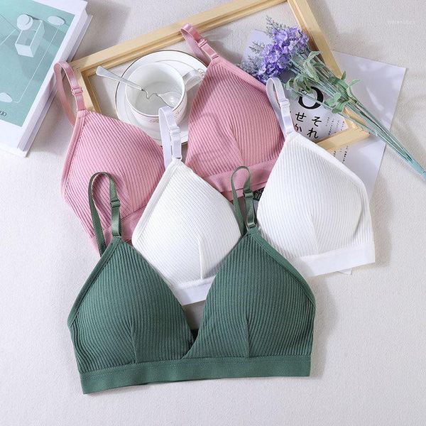 yoga outfit women sports bras triangle cup underwear female breathable wrapped tube beauty back adjustable sling bra vest
yoga outfit women sports bras triangle cup underwear female breathable wrapped tube beauty back adjustable sling bra vest