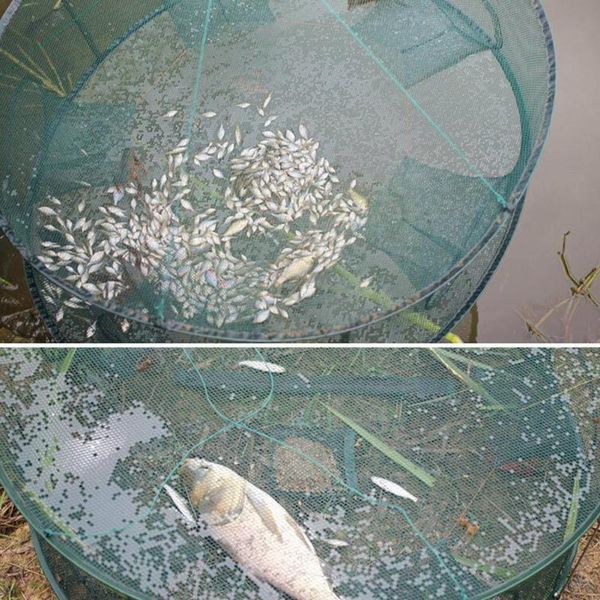 fishing accessories strengthened 5 holes automatic net shrimp cage fish foldable crab trap cast network fold nylon tra g0k5
fishing accessories strengthened 5 holes automatic net shrimp cage fish foldable crab trap cast network fold nylon tra g0k5