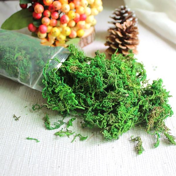 decorative flowers & wreaths green artificial moss immortal fake flower grass simulation plant diy micro landscape fish tank de
decorative flowers & wreaths green artificial moss immortal fake flower grass simulation plant diy micro landscape fish tank de