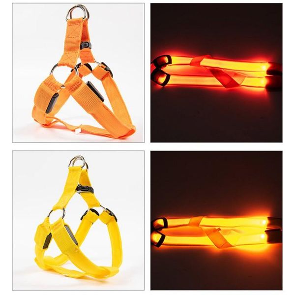 dog collars & leashes 2021 led nylon pet cat harness flashing light collar safety leash rope belt vest part
dog collars & leashes 2021 led nylon pet cat harness flashing light collar safety leash rope belt vest part