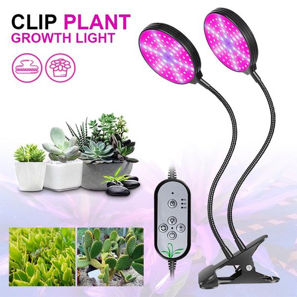 lants seedlings flower indoor fitolamp growing lighting aluminum led plant grow lamp invernadero pvc wireless control light lights
lants seedlings flower indoor fitolamp growing lighting aluminum led plant grow lamp invernadero pvc wireless control light lights