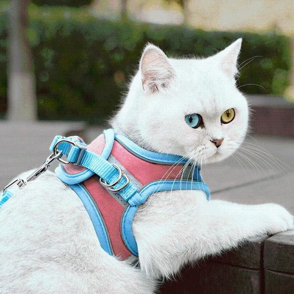 dog collars & leashes nylon reflective harness collar and leash set for small medium dogs cat chihuahua pug walking lead
dog collars & leashes nylon reflective harness collar and leash set for small medium dogs cat chihuahua pug walking lead