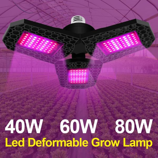 deformable led plant growth lamp 360 all round e27 e26 light grow lights for full spectrum indoor plants reef
deformable led plant growth lamp 360 all round e27 e26 light grow lights for full spectrum indoor plants reef