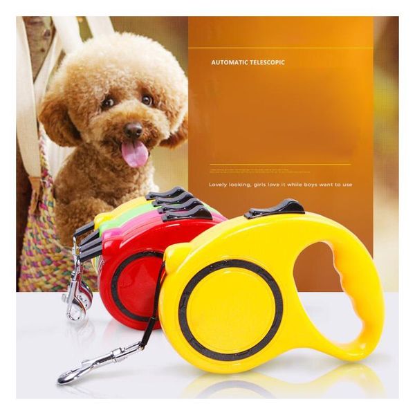 dog collars & leashes colorful retractable leash extending puppy 3m/5m walking leads pet running hands y great for
dog collars & leashes colorful retractable leash extending puppy 3m/5m walking leads pet running hands y great for