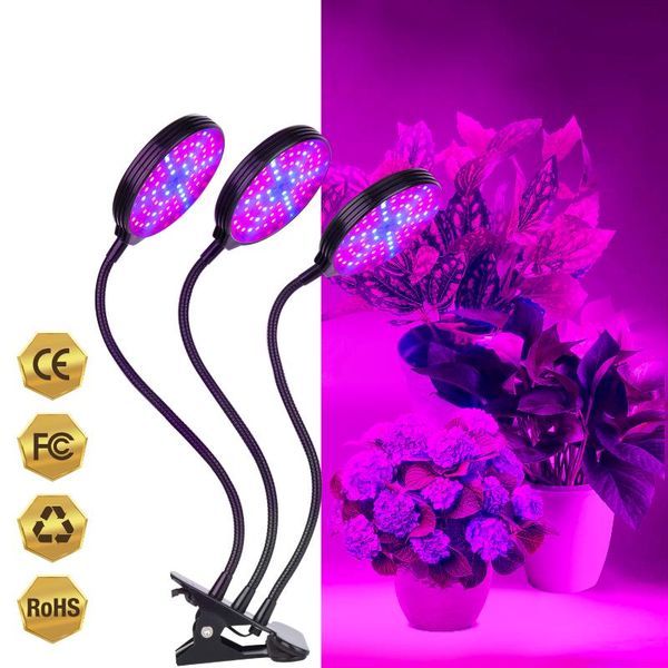 grow lights dc 5v led light usb phyto lamp sunlike full spectrum tent phytolamp hydroponics plant seedlings indoor box
grow lights dc 5v led light usb phyto lamp sunlike full spectrum tent phytolamp hydroponics plant seedlings indoor box
