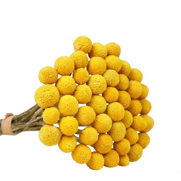 25pcs home decoration dried billy ball flower wedding large bouquet natural party no vase decorative flowers & wreaths
25pcs home decoration dried billy ball flower wedding large bouquet natural party no vase decorative flowers & wreaths