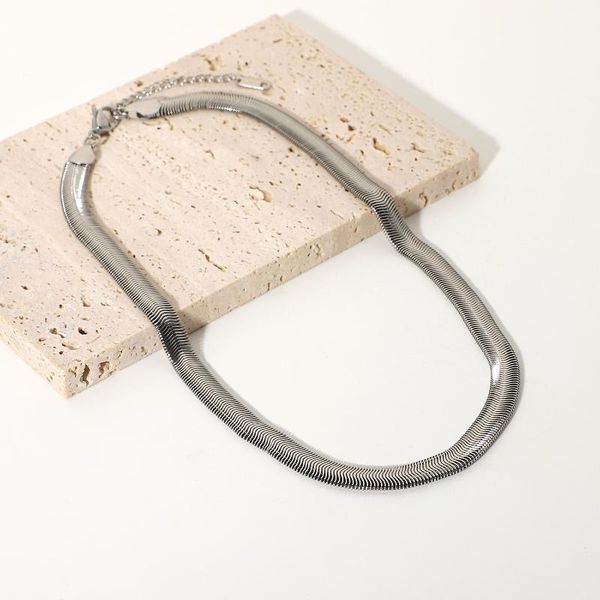 pendant necklaces stainless steel flat blade clavicle chain snake bone necklace for women punk choker, Silver
pendant necklaces stainless steel flat blade clavicle chain snake bone necklace for women punk choker, Silver