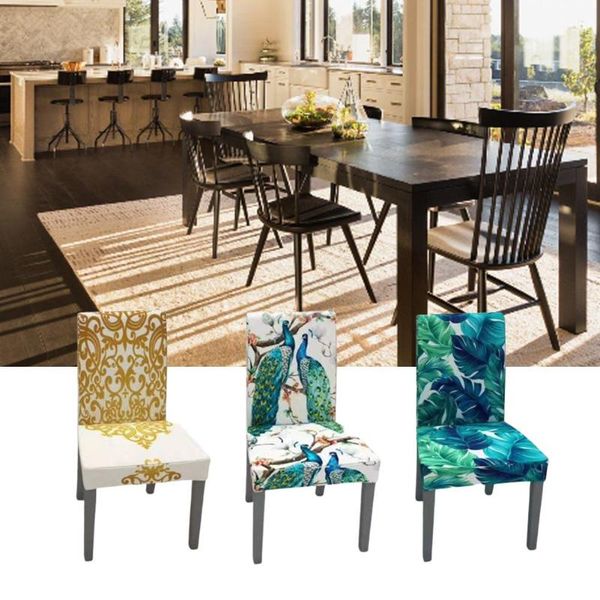 chair covers stretch dining cover spandex removable washable digital printing slipcover elastic stool for kitchen living ro
chair covers stretch dining cover spandex removable washable digital printing slipcover elastic stool for kitchen living ro