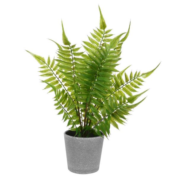 decorative flowers & wreaths 1pc atificial plant bonsai lovely fern potted desk ornament
decorative flowers & wreaths 1pc atificial plant bonsai lovely fern potted desk ornament