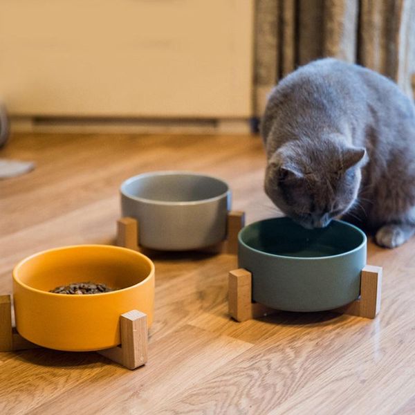 ceramic cat dog bowl elevated raised with wood stand pet water tableware bamboo frame antiskid feeding bowls & feeders
ceramic cat dog bowl elevated raised with wood stand pet water tableware bamboo frame antiskid feeding bowls & feeders