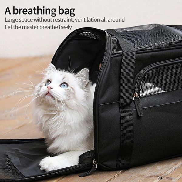 foldable travel cat dog bag pet backpack breathable small puppy portable handbag outgoing messenger carrier car seat covers
foldable travel cat dog bag pet backpack breathable small puppy portable handbag outgoing messenger carrier car seat covers