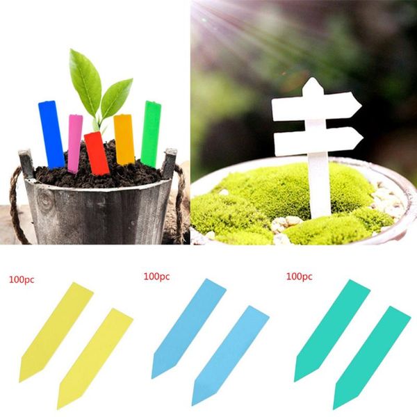 pcs plastic plant seed labels pot marker nursery garden stake tags markers tray 5cmx1cm decoration decorations
pcs plastic plant seed labels pot marker nursery garden stake tags markers tray 5cmx1cm decoration decorations
