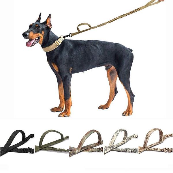 dog collars & leashes military tactical leash nylon elastic buffer bungee rope 2 handle quick release lead pet service training
dog collars & leashes military tactical leash nylon elastic buffer bungee rope 2 handle quick release lead pet service training