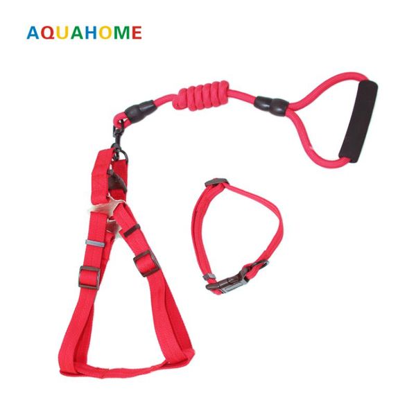 dog collars & leashes 2021 petcircle sale pet leash collar for small and large dogs 6 color traction rope set
dog collars & leashes 2021 petcircle sale pet leash collar for small and large dogs 6 color traction rope set