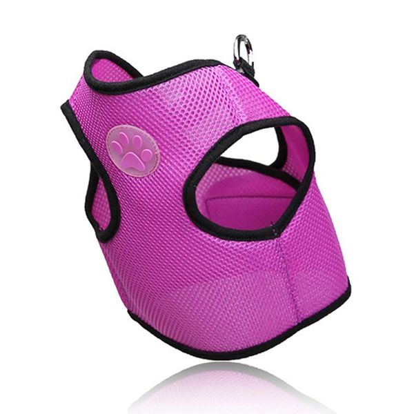 pet traction logo dog chest strap mesh clothes fashion back leash breathable kitten harnesses puppy collars & leashes
pet traction logo dog chest strap mesh clothes fashion back leash breathable kitten harnesses puppy collars & leashes