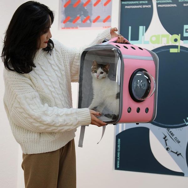 cat carriers,crates & houses bag go out portable backpack dog large capacity two boxes space carrier supplies pets
cat carriers,crates & houses bag go out portable backpack dog large capacity two boxes space carrier supplies pets
