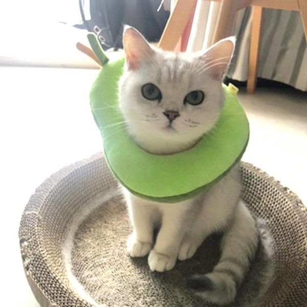 dog collars & leashes pet protective collar neck recovery elizabeth circle for anti-bite lick wound healing cat dogs health
dog collars & leashes pet protective collar neck recovery elizabeth circle for anti-bite lick wound healing cat dogs health
