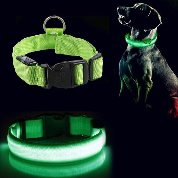 dog collars & leashes usb rechargeable led pet collar flashing luminous safety light up nylon anti- necklace puppy
dog collars & leashes usb rechargeable led pet collar flashing luminous safety light up nylon anti- necklace puppy