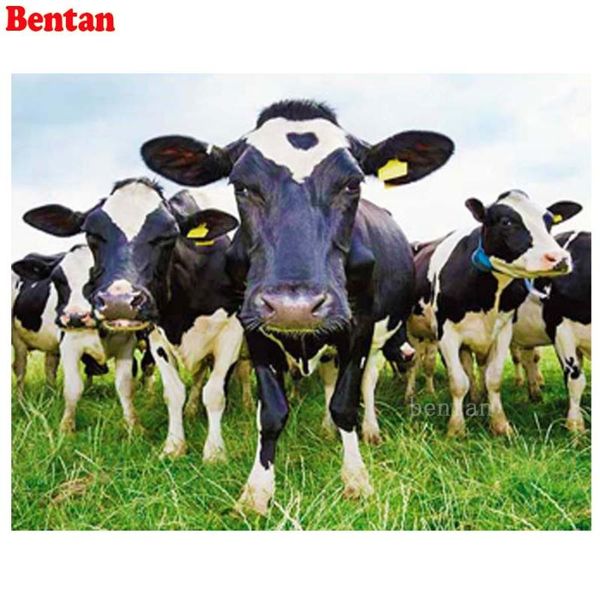 diamond painting 5d cows farm animals full drill square round embroidery cross stitch kit mosaic decor 2021
diamond painting 5d cows farm animals full drill square round embroidery cross stitch kit mosaic decor 2021