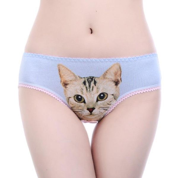 women's panties 3d cat print underwear clothes women funny female lingerie briefs low waist comfortable underpants shorts, Black;pink
women's panties 3d cat print underwear clothes women funny female lingerie briefs low waist comfortable underpants shorts, Black;pink