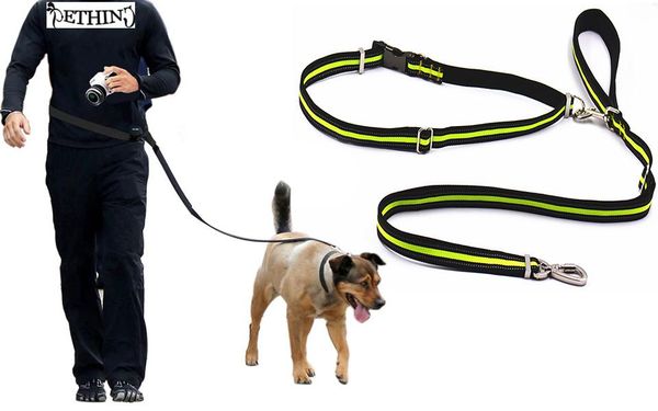 dog collars & leashes nylon hands walking leash belt reflective adjustable lead with stainless steel strong hook padded handle
dog collars & leashes nylon hands walking leash belt reflective adjustable lead with stainless steel strong hook padded handle