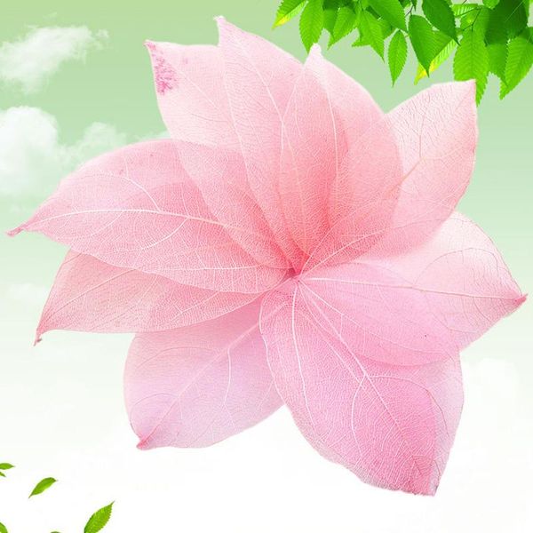 decorative flowers & wreaths 20pcs/set natural leaves vein dried nail art material for diy bookmarks party home decor handmade materials@#e0
decorative flowers & wreaths 20pcs/set natural leaves vein dried nail art material for diy bookmarks party home decor handmade materials@#e0