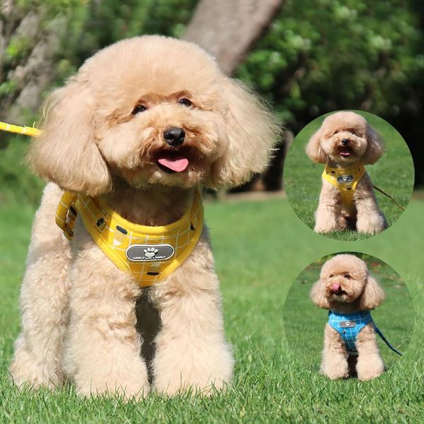 dog collars & leashes spring and summer pet breathable mesh small cat adjustable chest strap with a comfortable durable collar
dog collars & leashes spring and summer pet breathable mesh small cat adjustable chest strap with a comfortable durable collar