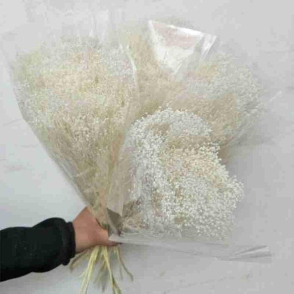 wood gypsophila dried flowers floral arrangement po props wedding party home decoration accessories decorative & wreaths
wood gypsophila dried flowers floral arrangement po props wedding party home decoration accessories decorative & wreaths