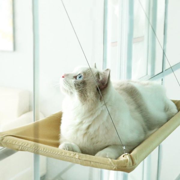 cat window perch hammock mounted bed cat resting seat hanging sleeping bed beds & furniture
cat window perch hammock mounted bed cat resting seat hanging sleeping bed beds & furniture