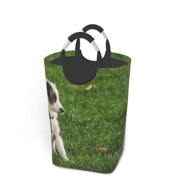 cute cat clothing laundry basket bag folding large capacity clothes storage bucket waterproof & organization
cute cat clothing laundry basket bag folding large capacity clothes storage bucket waterproof & organization