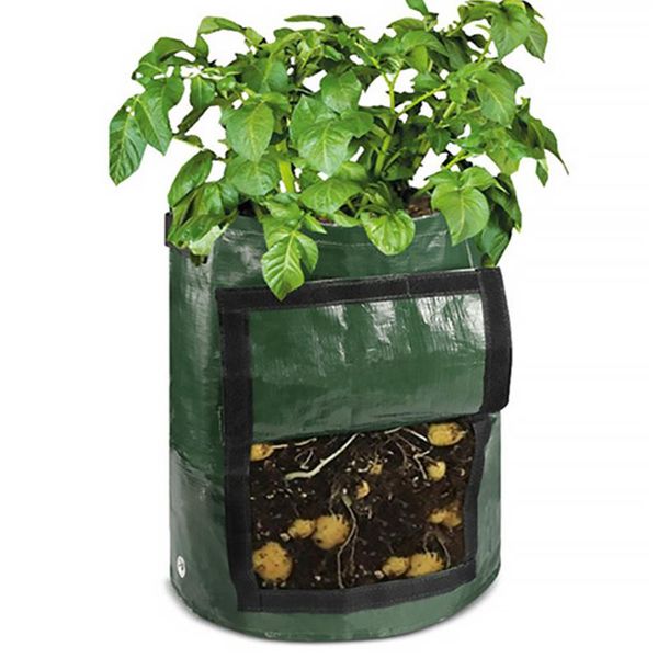 planters & pots pe cloth potato planting bag vegetable growing container bags diy garden pot
planters & pots pe cloth potato planting bag vegetable growing container bags diy garden pot